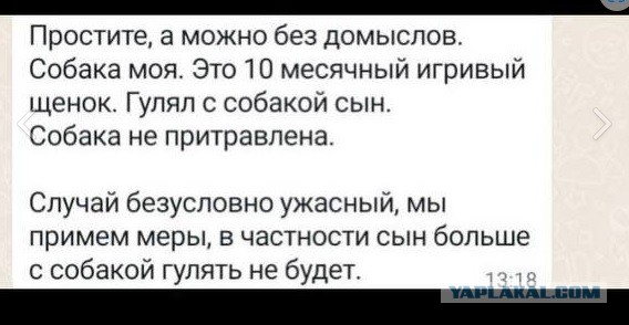 В Подмосковье собака напала на детей: