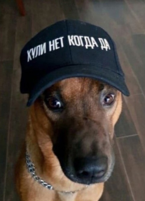 Сюткин местного разлива