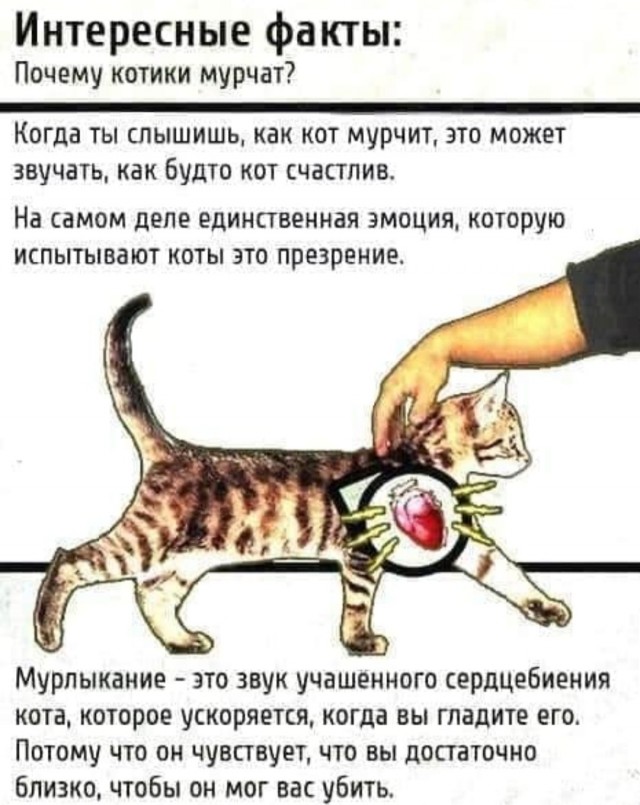 Нуштош 03.03.23