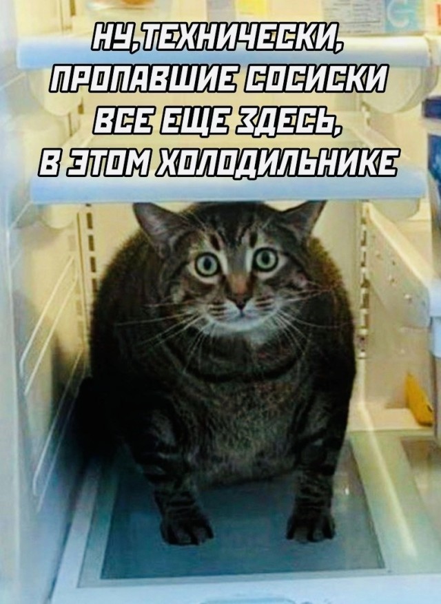 У кого что в холодильнике?