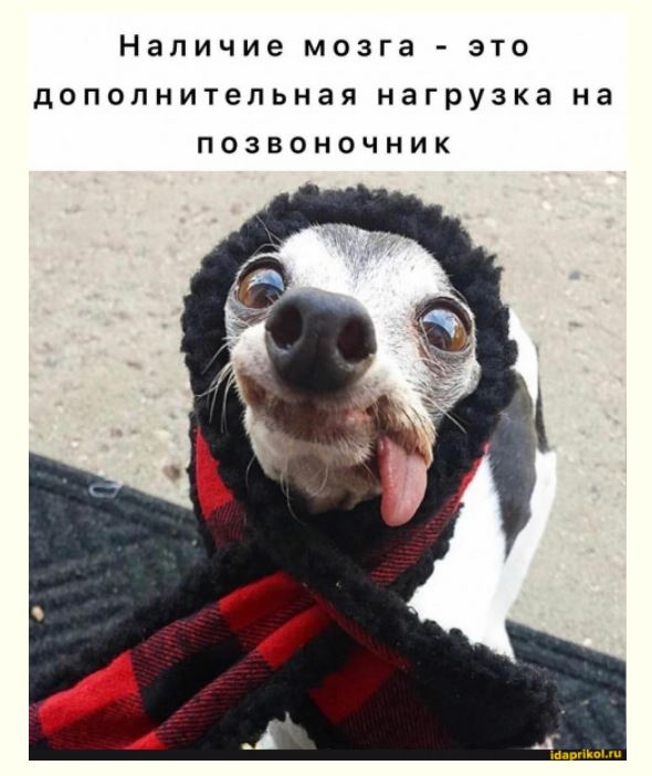 Победная поступь идиотизма по планете – том 10