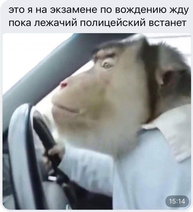 Картинки и мемы, всем хороших выходных