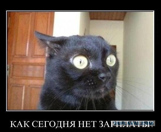 Лёгкой наркомании пост