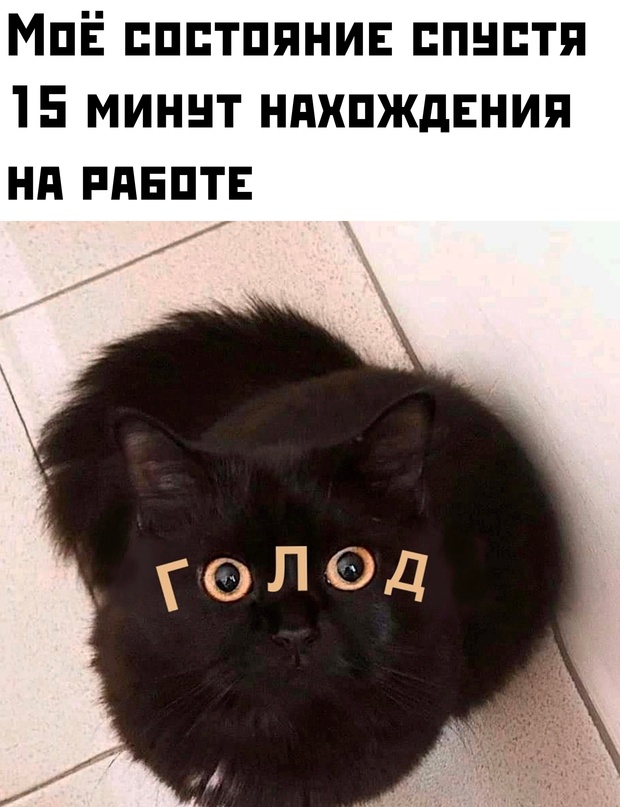 Картинки и мемы, всяко разно - 175
