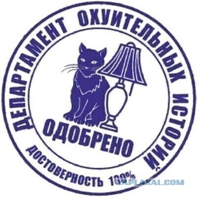 Подборка картинок 17.05.2023