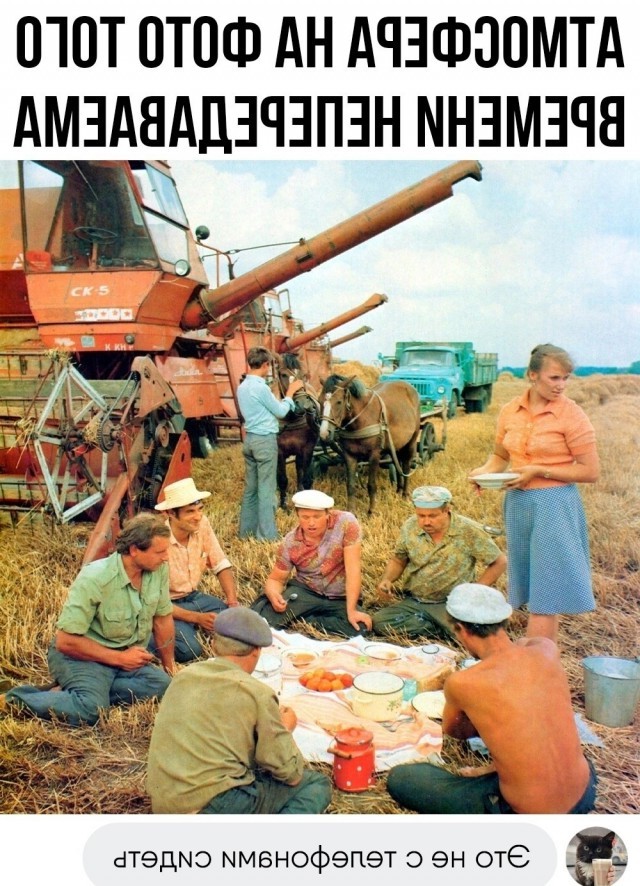 Весёлый полтишок 27.07.23