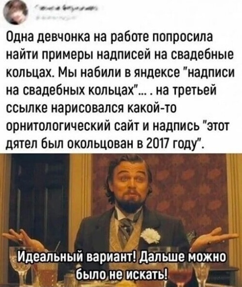 Весёлый полтишок 21.08.23