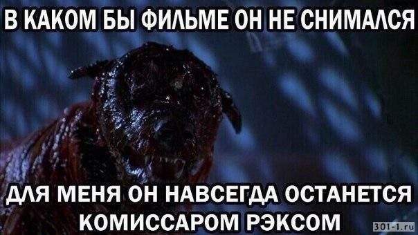 Я все видел!