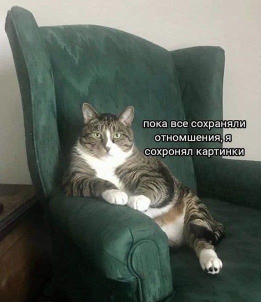 Всего понемногу. От 05.04.2024