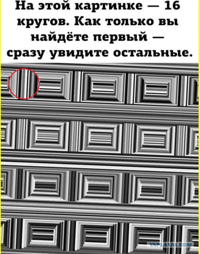 Забавные картинки, шутки из этих ваших интернетов