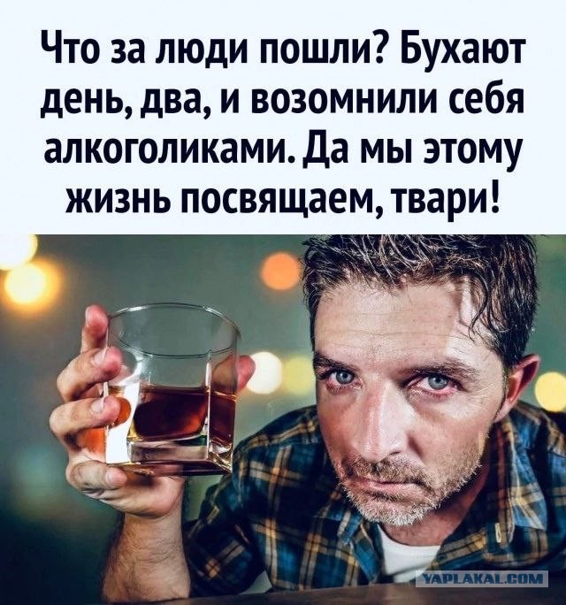 Советское образование не пропьешь