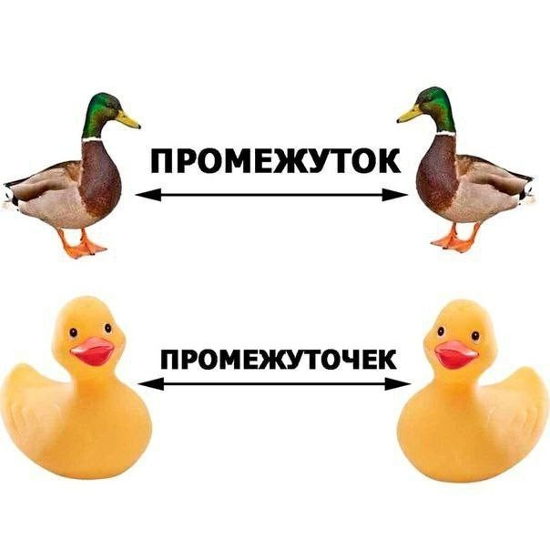 Суббота! Баяны! Красота!