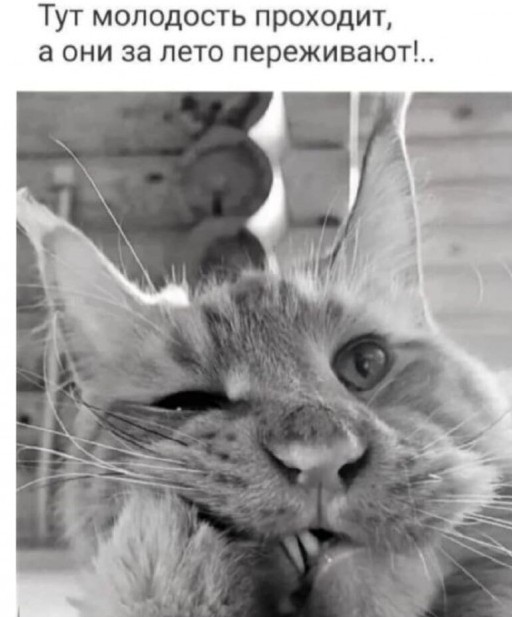 Одолели... Ну сколько можно?