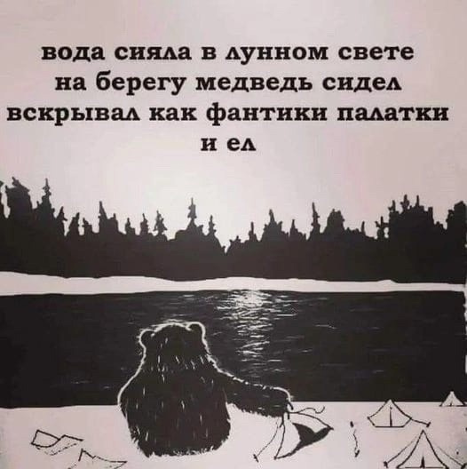 19268207.jpg