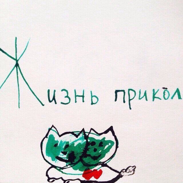 Прикольные и просто красивые картинки 16.08.2024