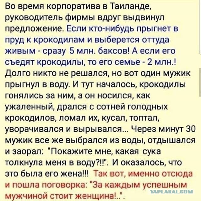 Так себе картинки 27.03.25