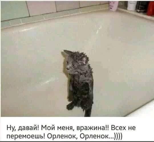 Свалка из картинок