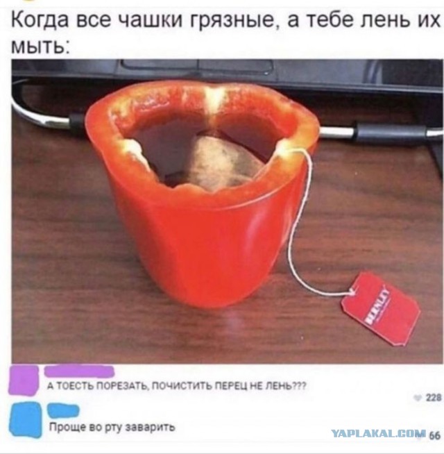 Картинки для деградации 58 (разной степени свежести)