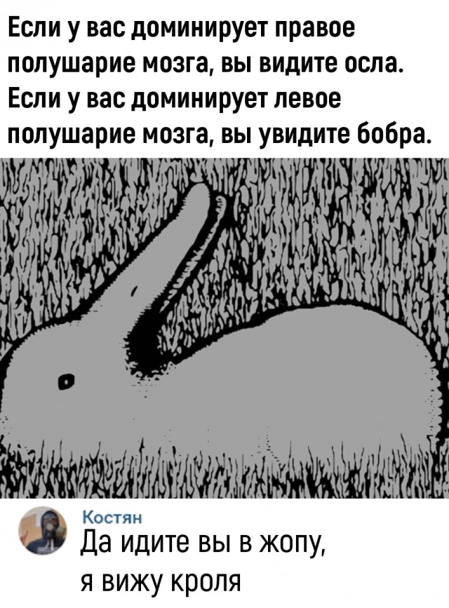 Так себе картинки 21.10.25