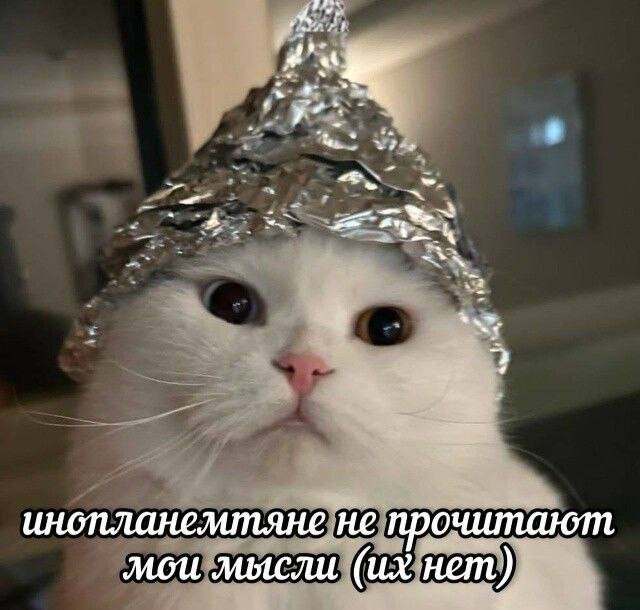 Субботние картинки