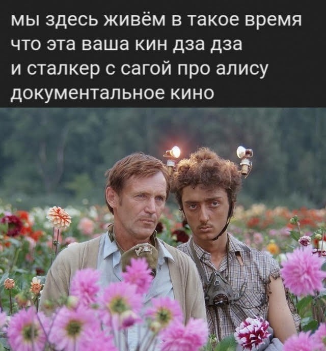 Так себе картинки 18.02.26