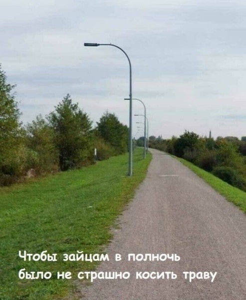 Воскресные картинки