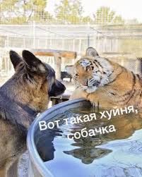 В ЦБ уже определились: тяжелые времена для россиян могут и затянуться