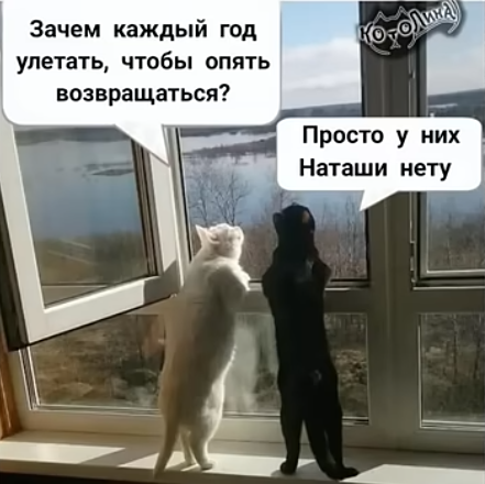 Субботим по баянам