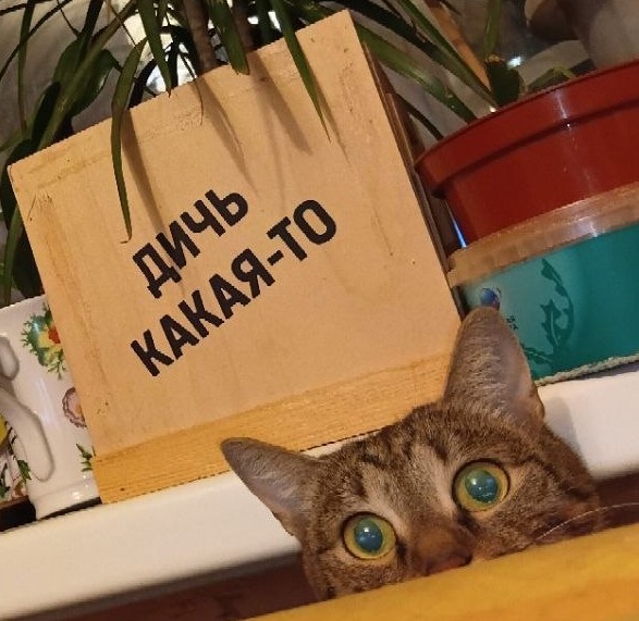 Пятничное разоблачение года.