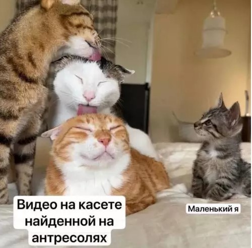 Картиночки, баянчики 07 апреля