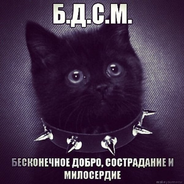 Дегрономикон 15