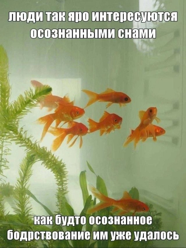 Воскресные картинки