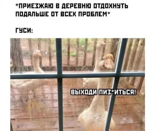 Пляжная мафия