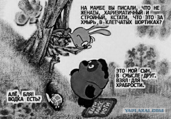 Ребят, помогите найти картинку