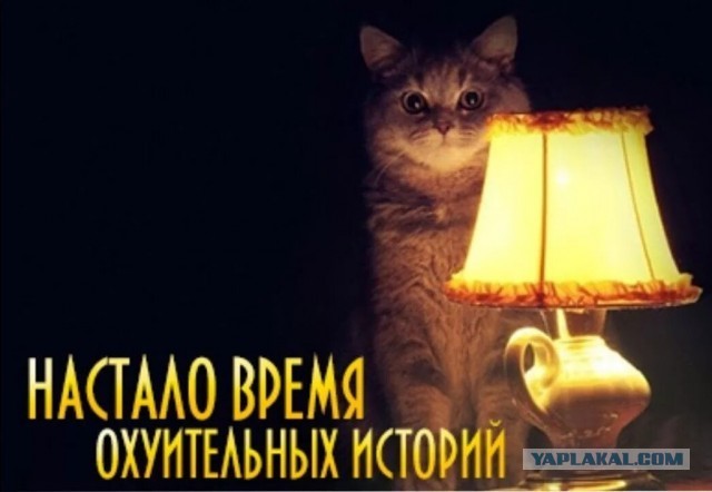 Москва. Переезд.