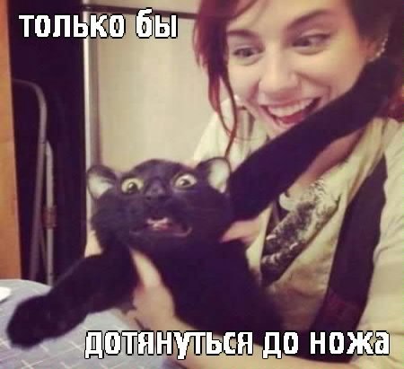Позитивные картинки