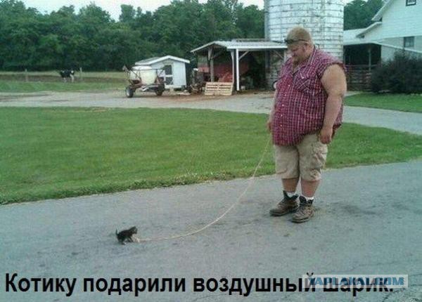 Смешное из сети #2