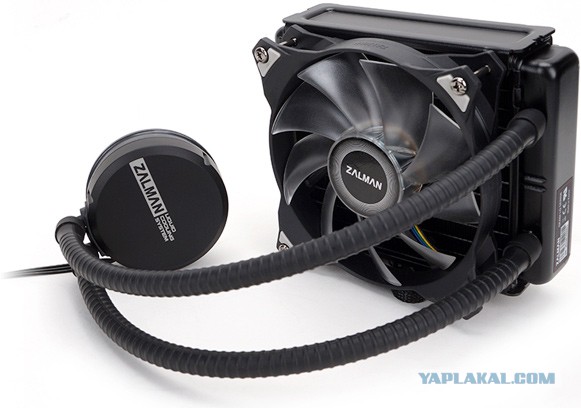 Zalman Tech начала процедуру банкротства