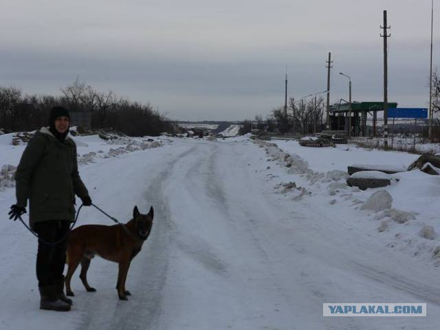 СБУ объявила в розыск певицу Юлию Чичерину
