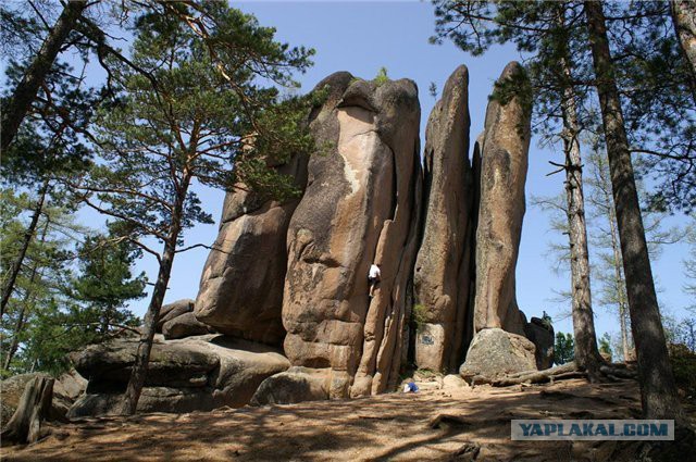 Тамбовский волк тебе товарищ...