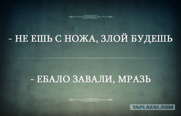 Весёлые картинки
