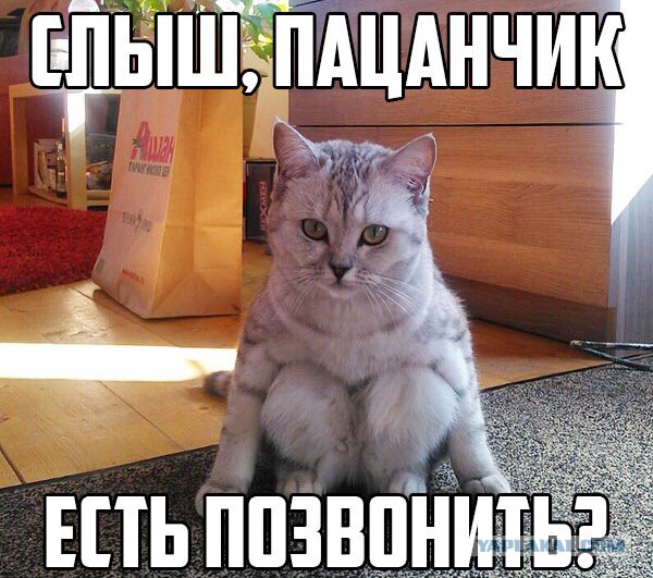 Забавные картинки из сети
