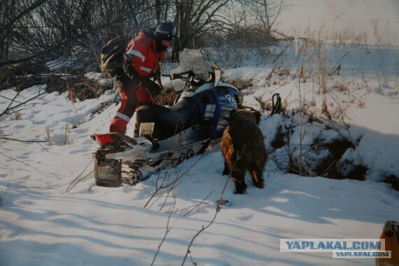 Кончились патроны