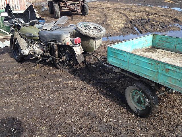 Японский боевой куст