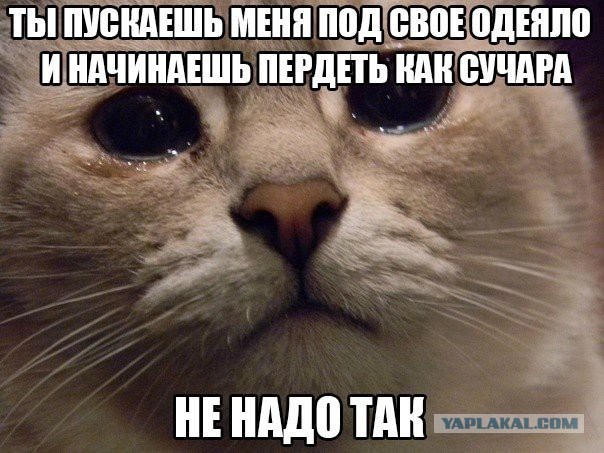 Женщины жалуются на метеоризм