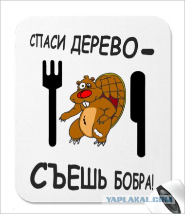 Голод в Москве!
