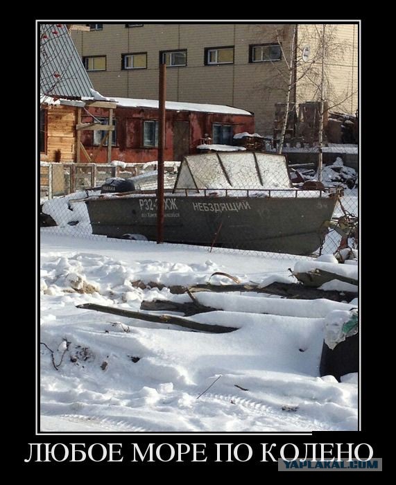 Подборка веселых картинок