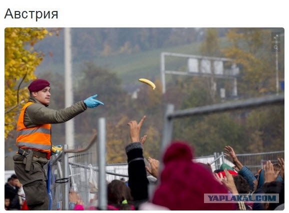 10 политических картинок часть 18