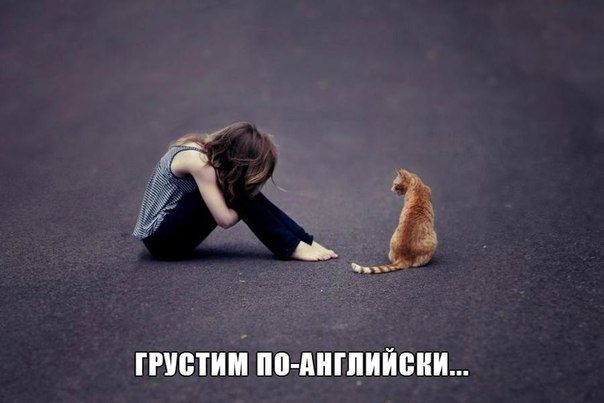 Картинки и прочее