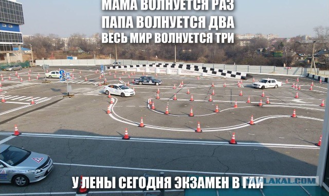 Подборка прикольных фото на пятницу